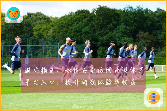 避坑指南：如何安全访问易游体育平台入口，提升游戏体验与收益