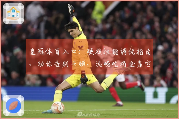 皇冠体育入口：硬核性能调优指南，助你告别卡顿，流畅吃鸡全靠它